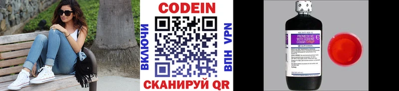 где купить Олонец Codein Purple Drank
