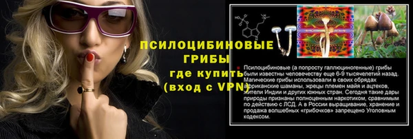 метадон Алексин