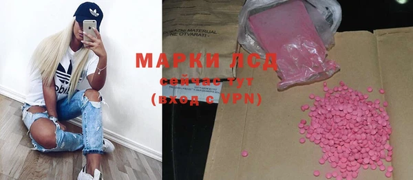 шишки Алзамай