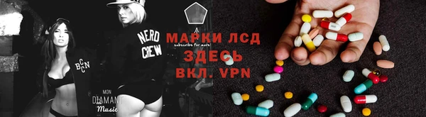 шишки Алзамай