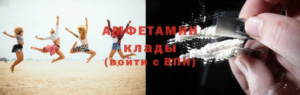 шишки Алзамай