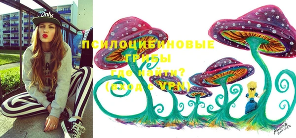 метадон Алексин