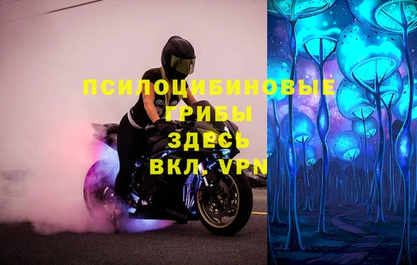a pvp Алексеевка