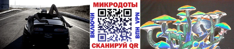 Псилоцибиновые грибы Psilocybine cubensis  сколько стоит  Олонец 