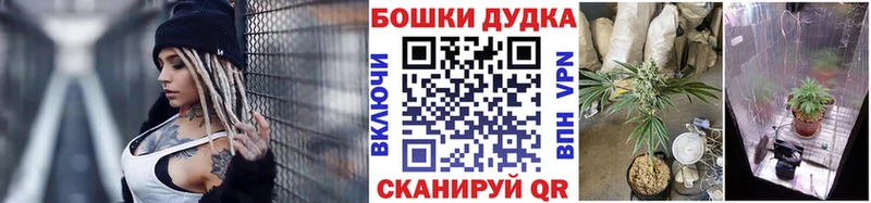 где можно купить наркотик  Олонец  KRAKEN ONION  Конопля Ganja 